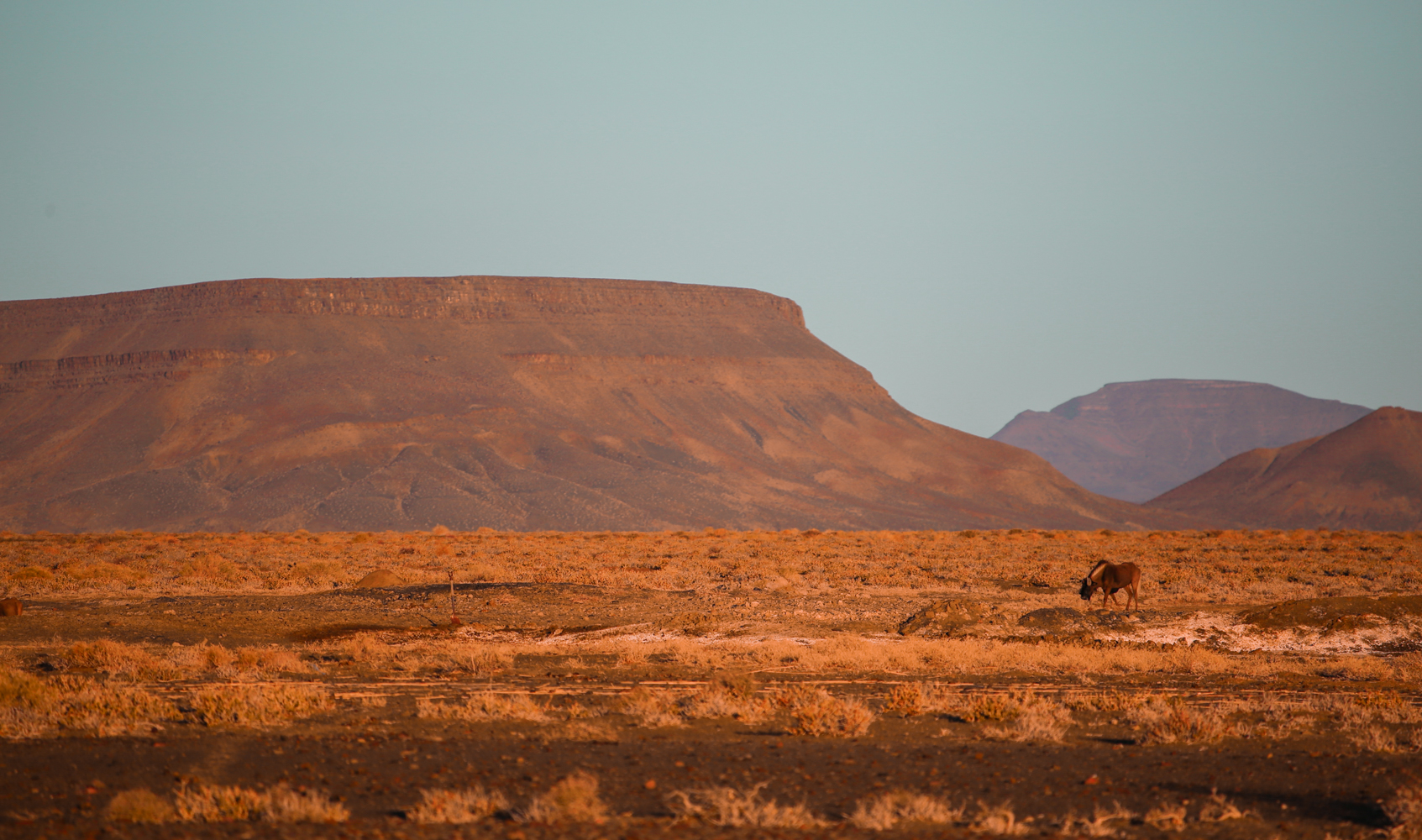 Karoo Desert South Africa | How Far From Home