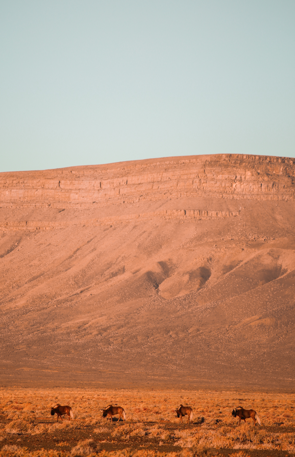 Karoo Desert South Africa | How Far From Home