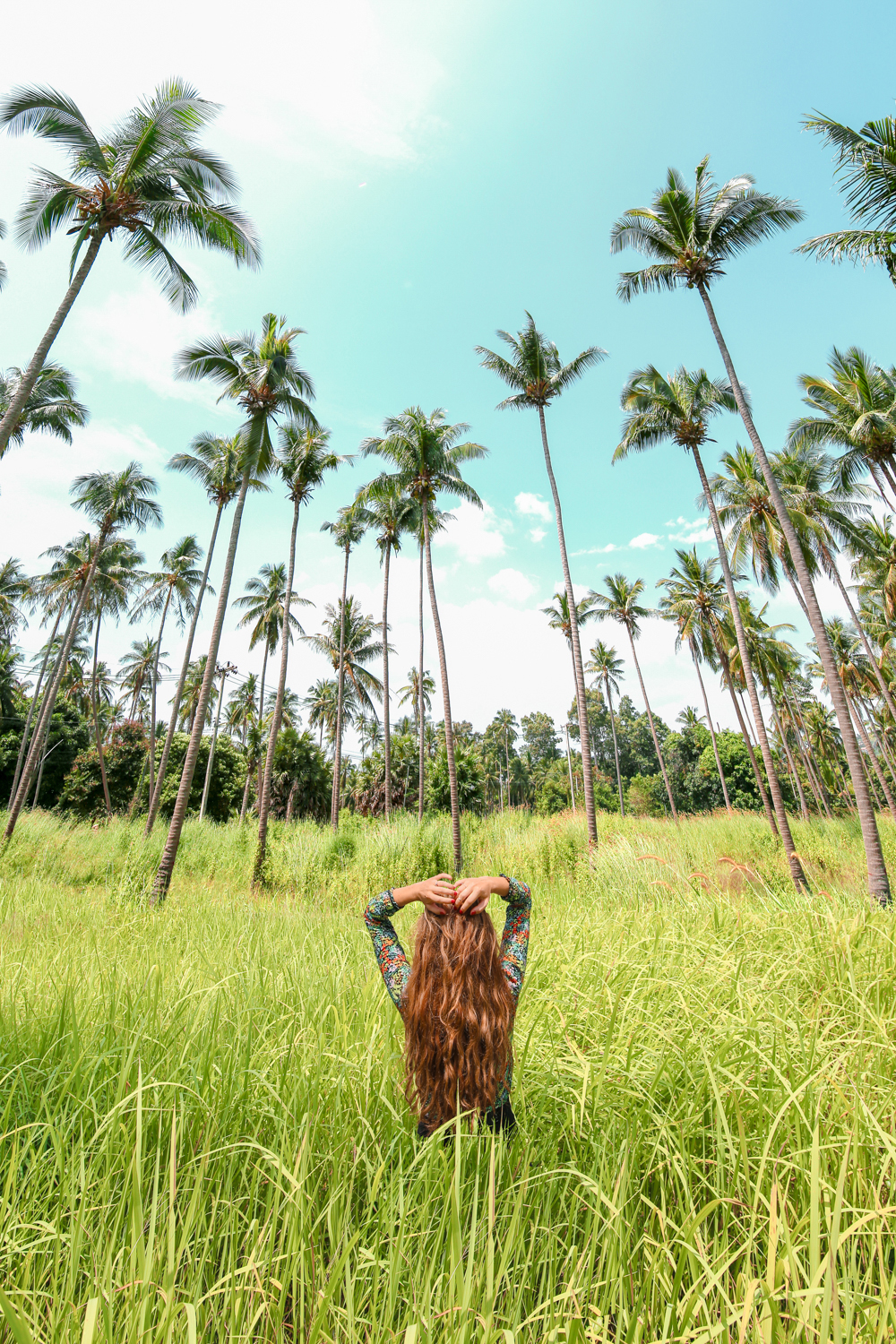 Coconut forests on Koh Samui Thailand @howfarfromhome