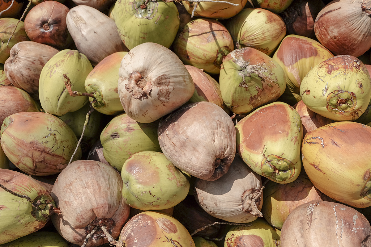 Coconuts in Thailand @howfarfromhome