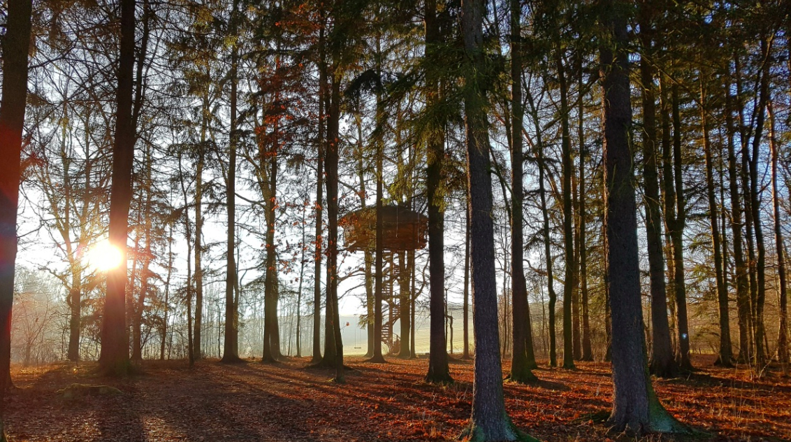Green Valley Treehouse in Prague Czech Republic