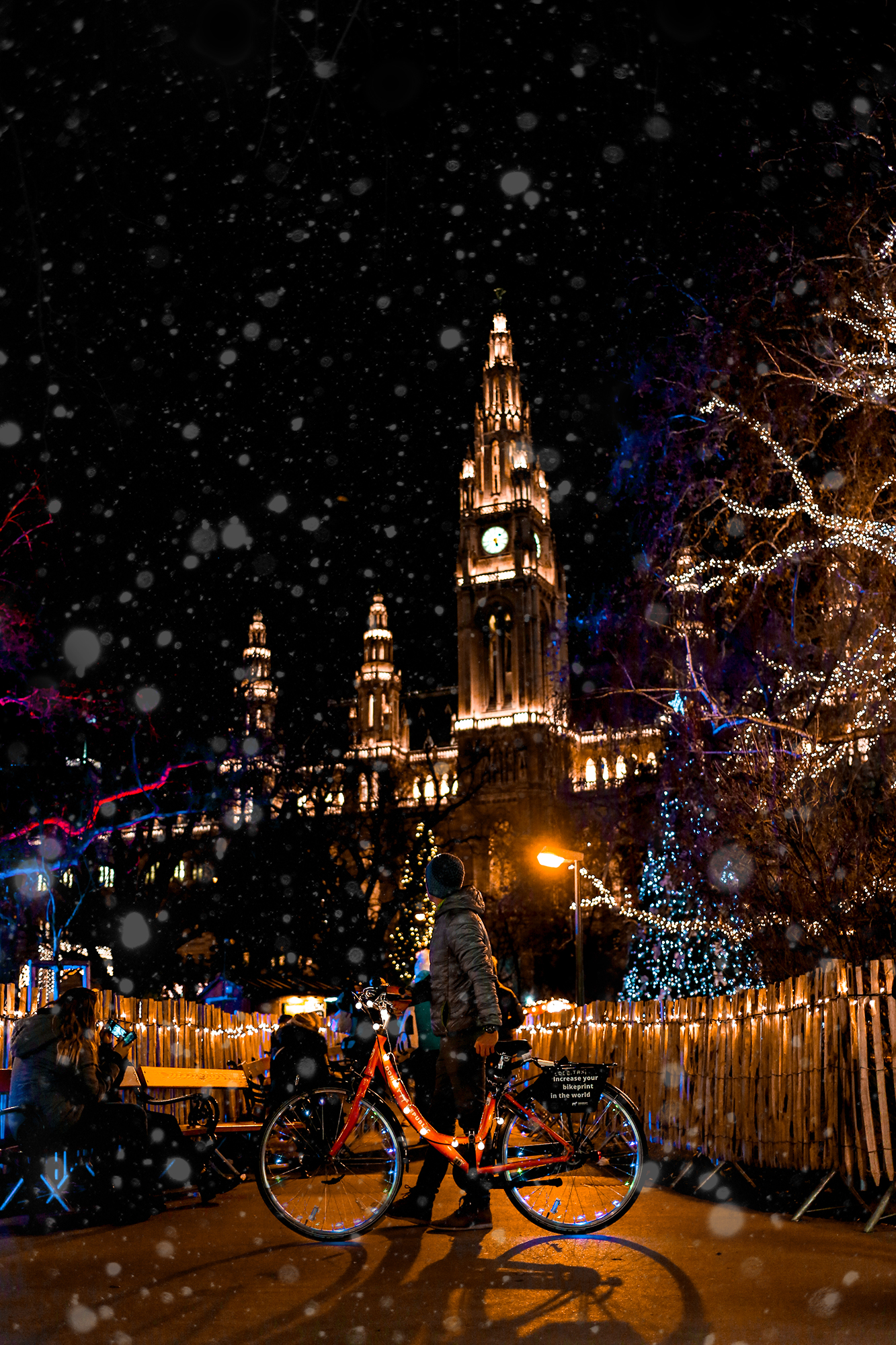 Christmas market in Vienna