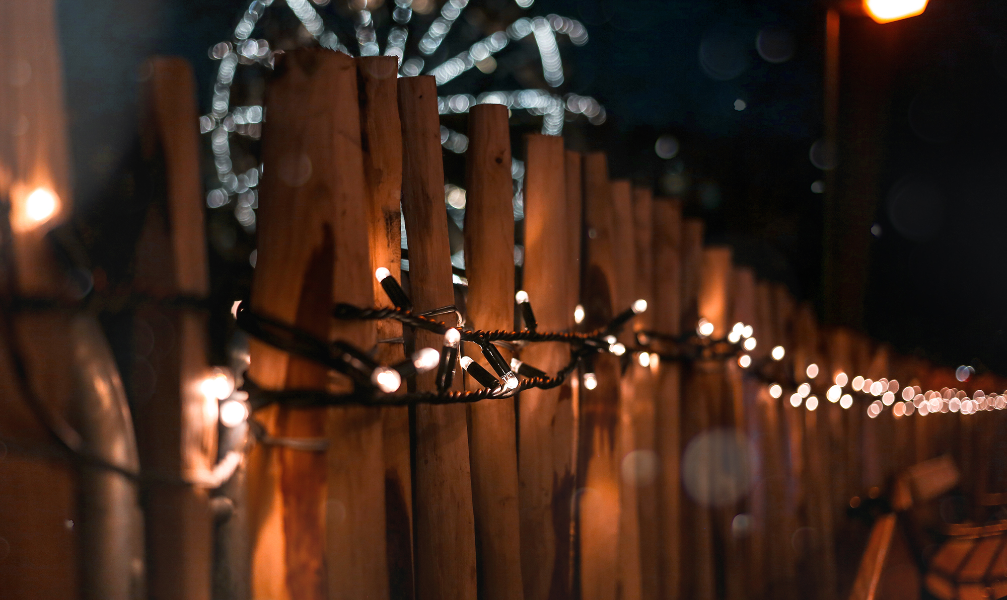 Christmas market in Vienna