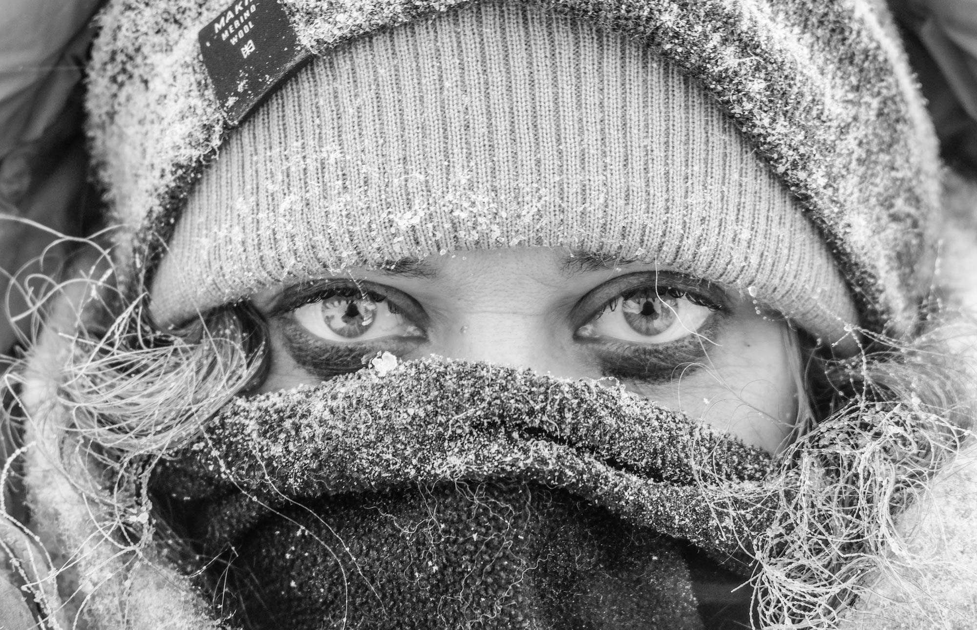 Close-up in the cold