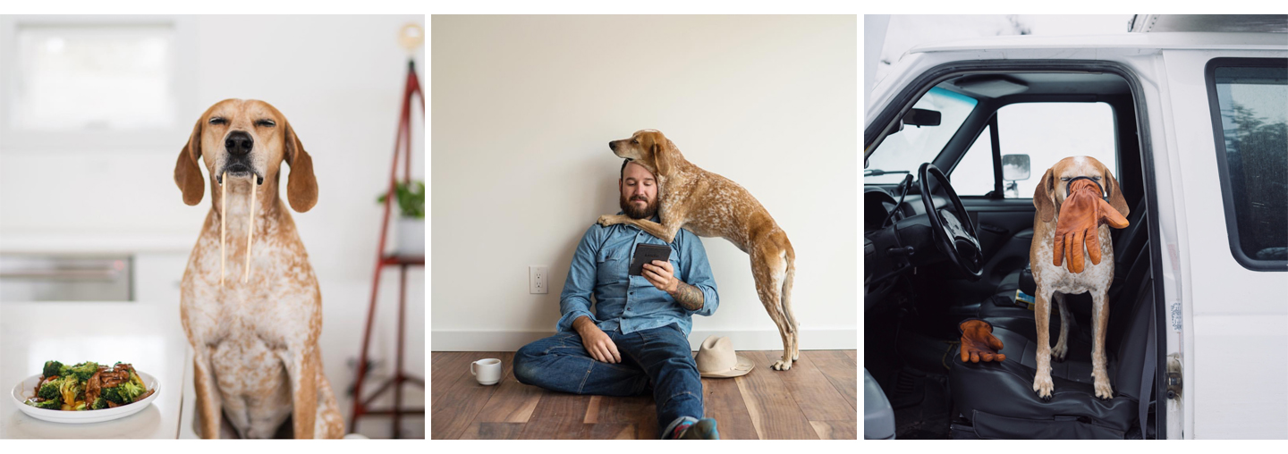 Instagram @thiswildidea
