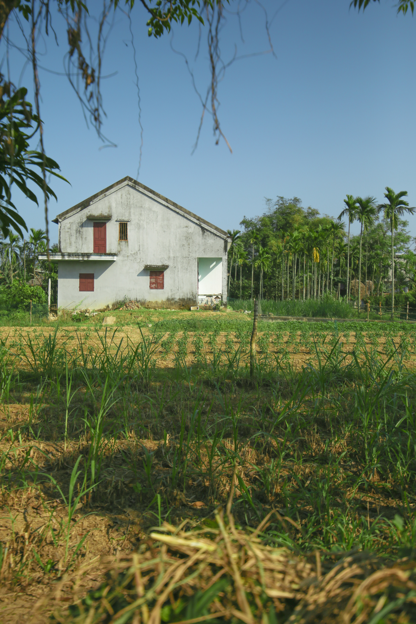 Ways For Homeowners To Travel | Vietnam