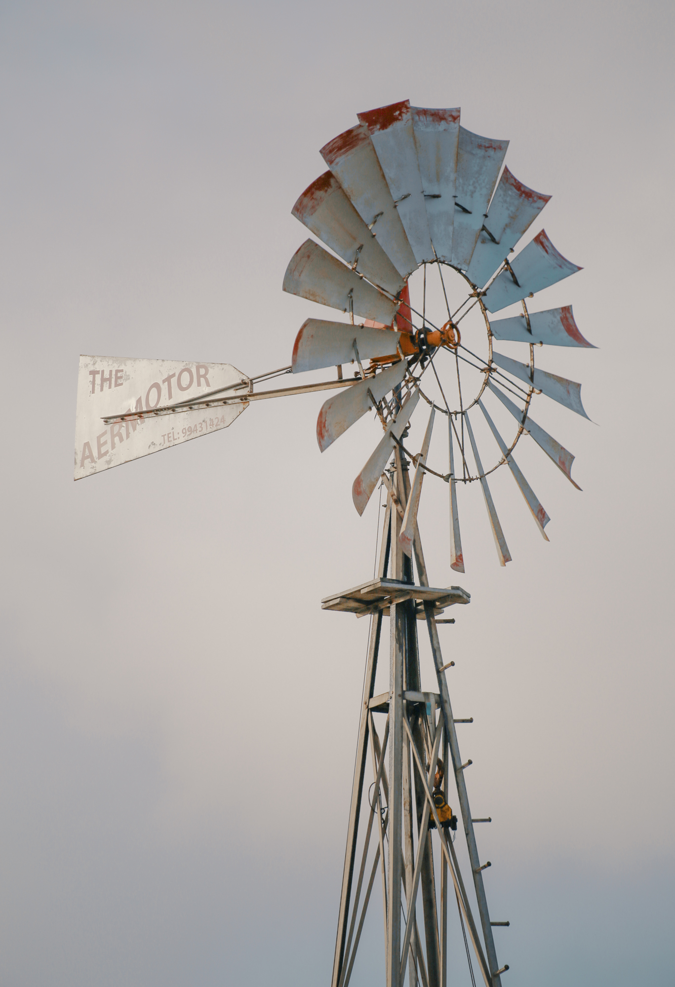 Windmill in Malta