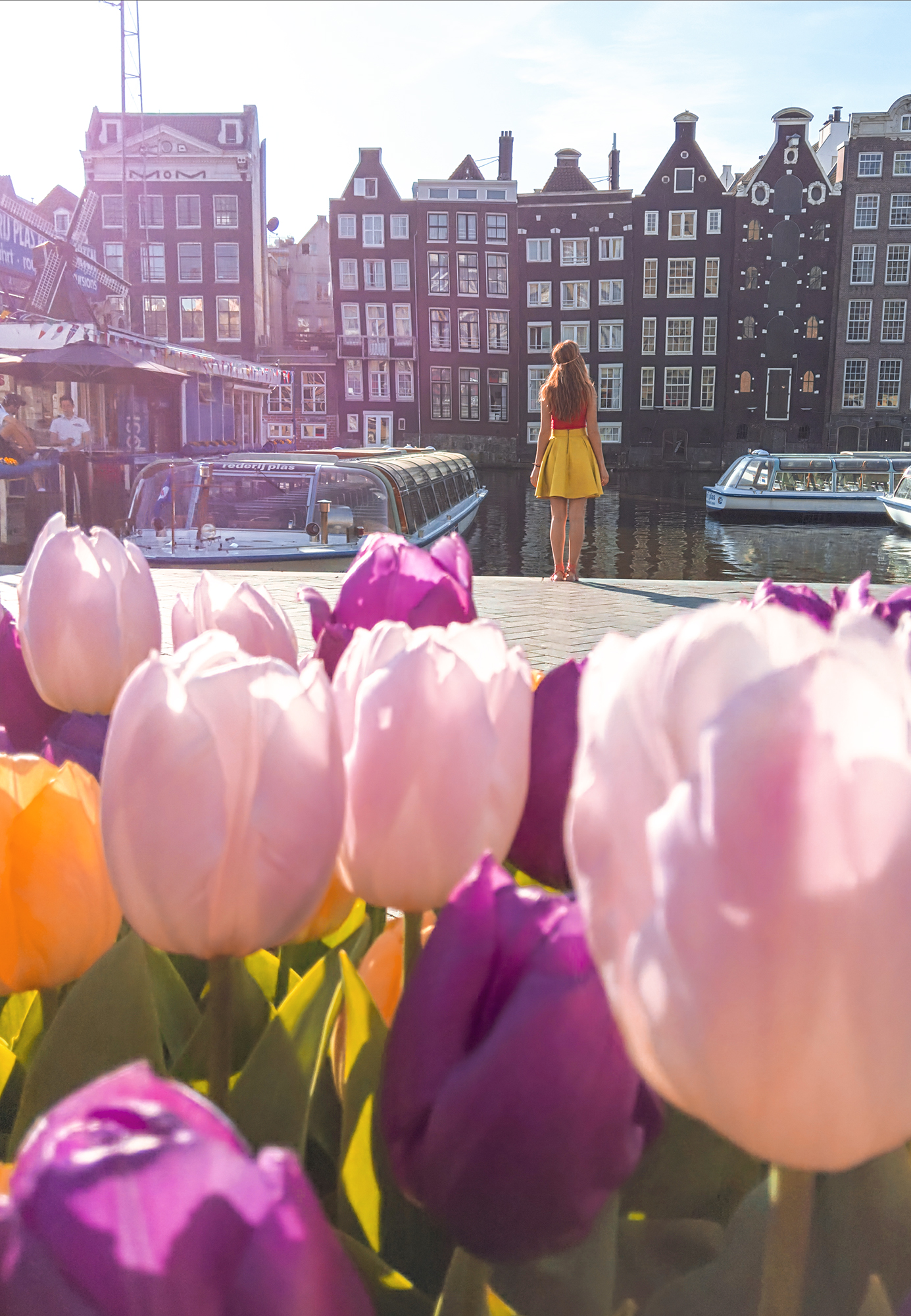 Tulips In Holland | How Far From Home