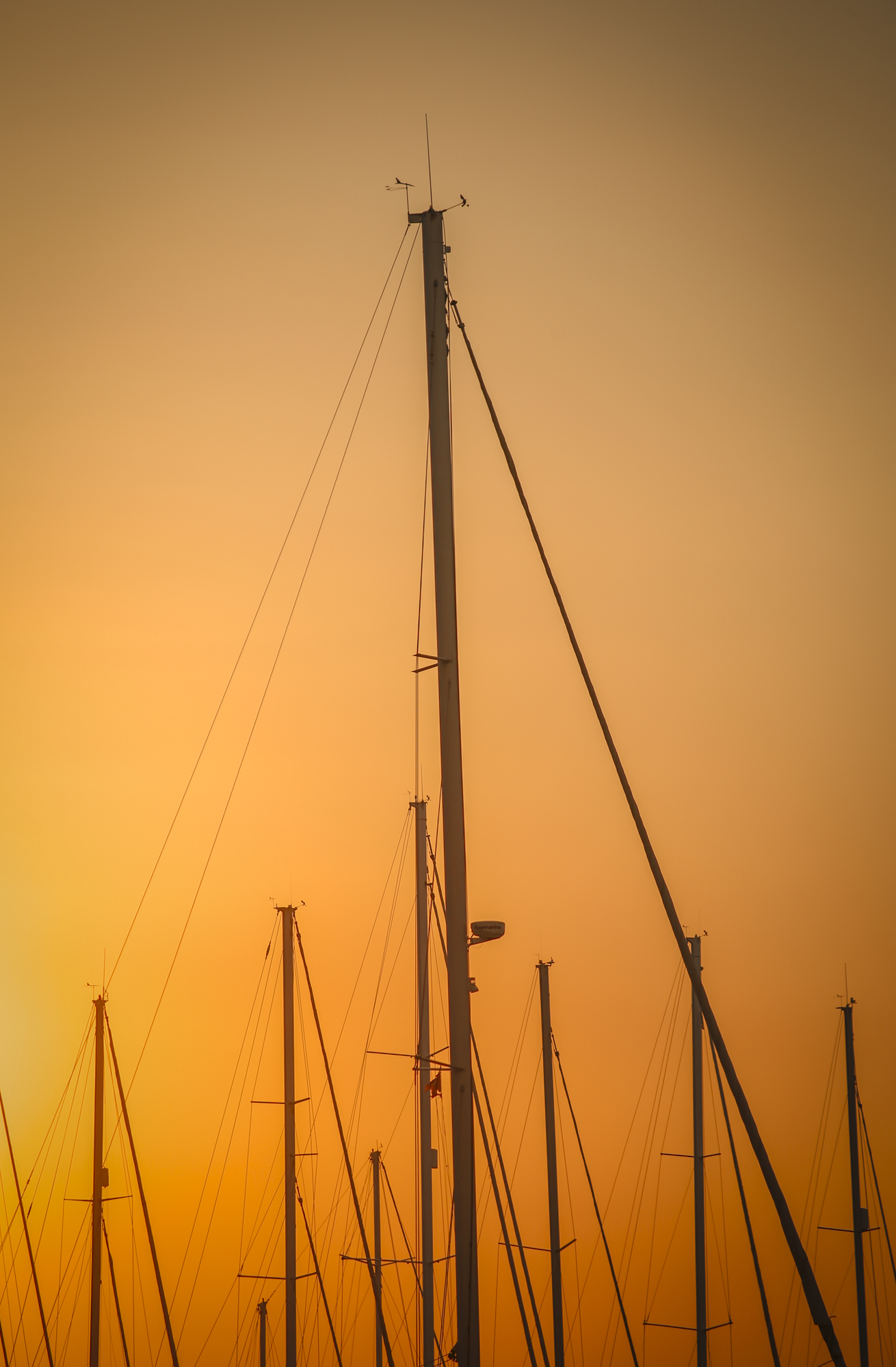 Sunset sailboats in Bodrum, Turkey