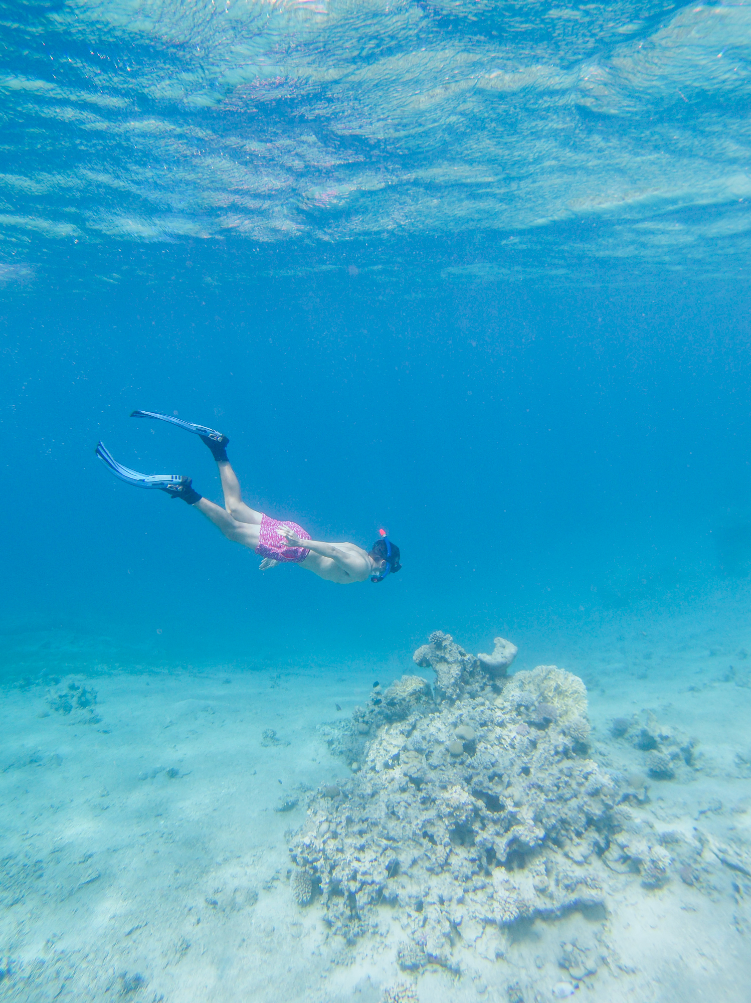 Snorkeling in Aqaba, Jordan
