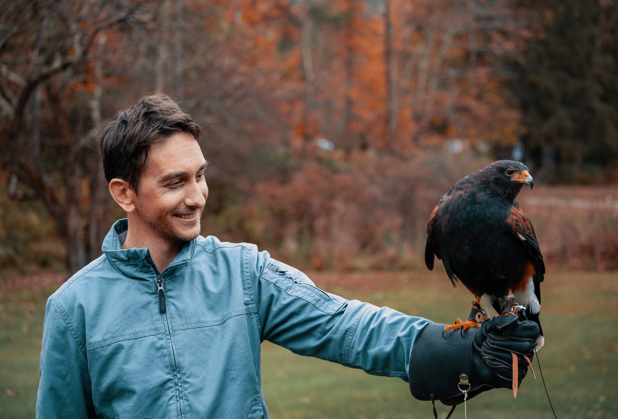 Falconry school, Vermont