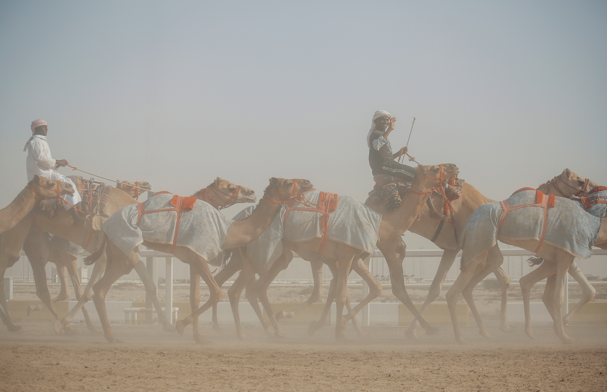Camel race track, Qatar
