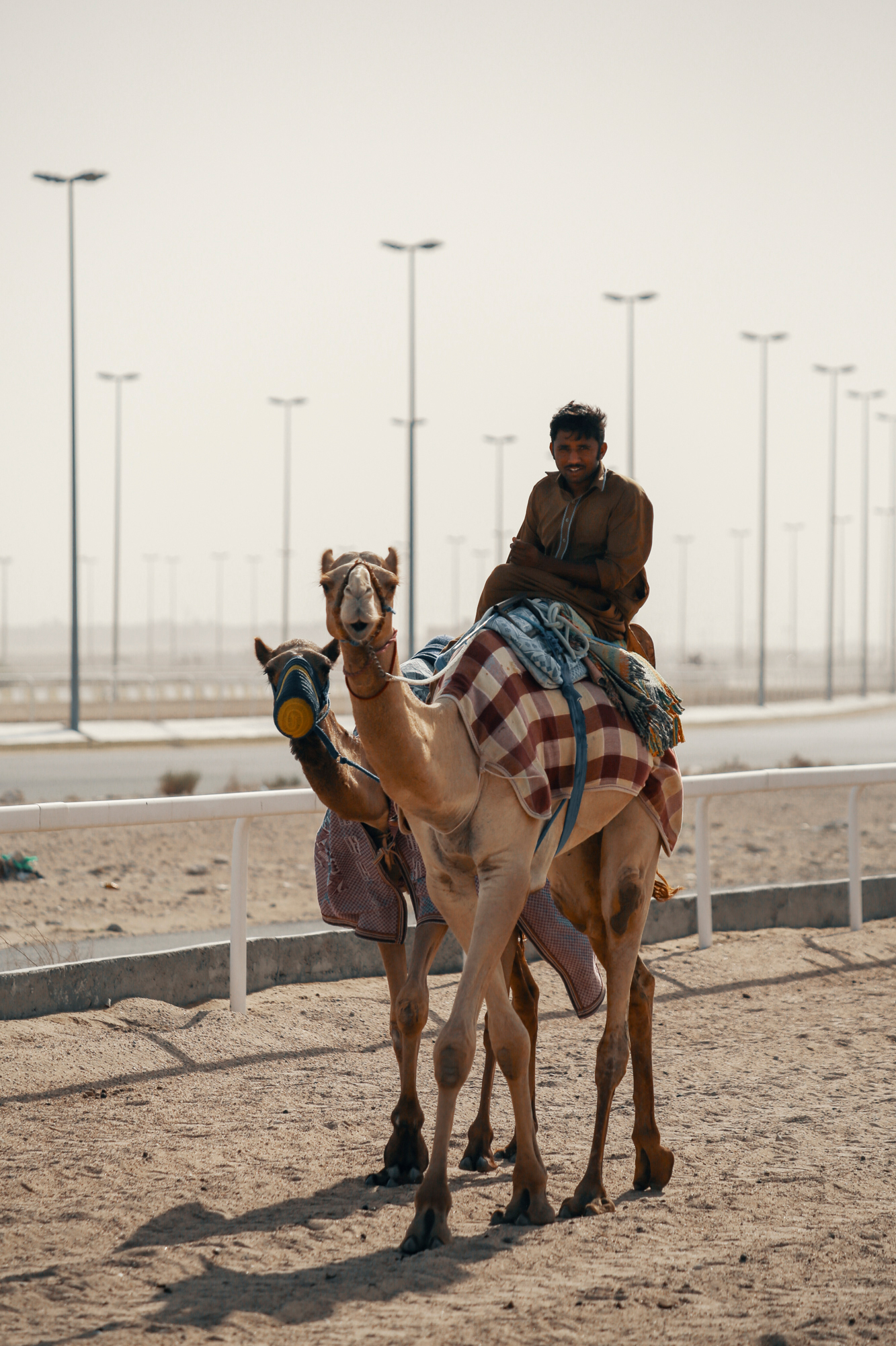 Camel race track, Qatar