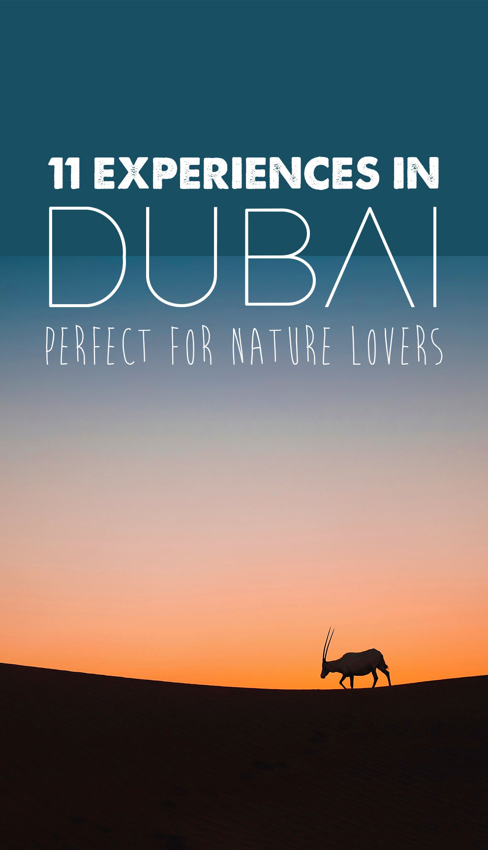 Dubai Experiences Perfect For nature Lovers | How Far From Home