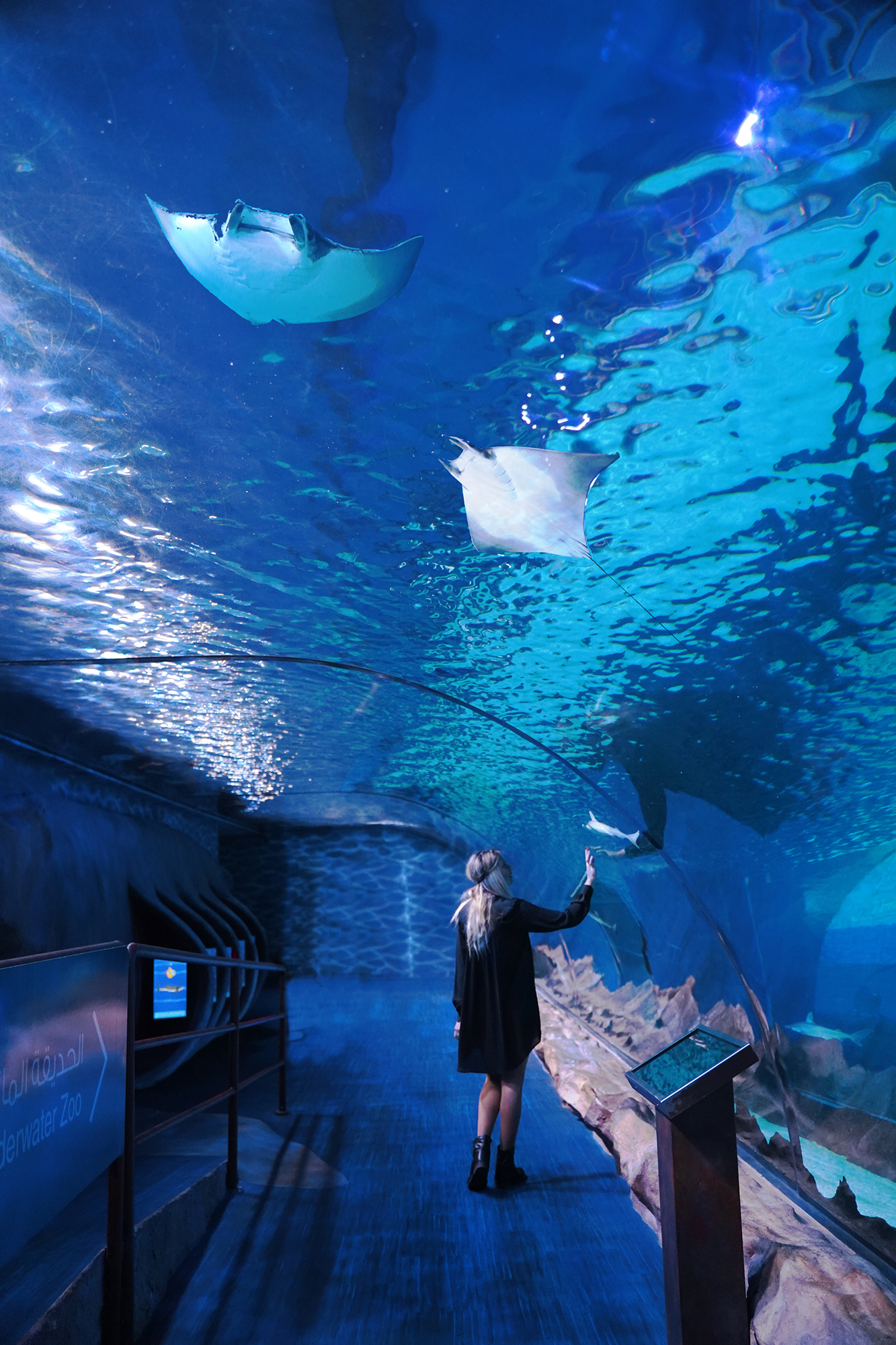 Dubai Aquarium, Dubai
