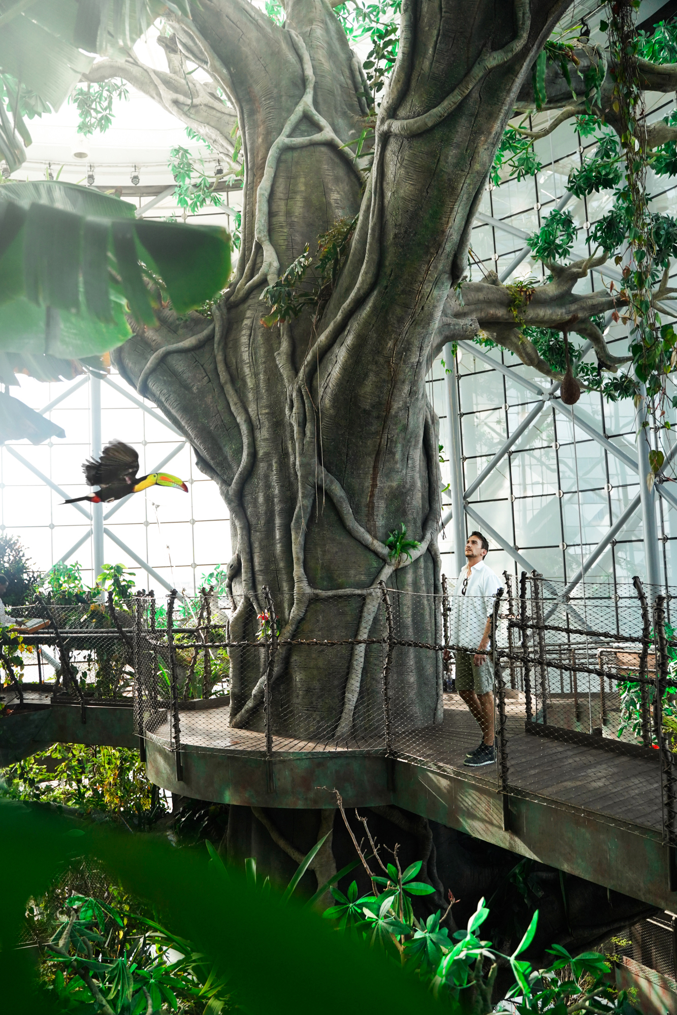 Green Planet, Dubai