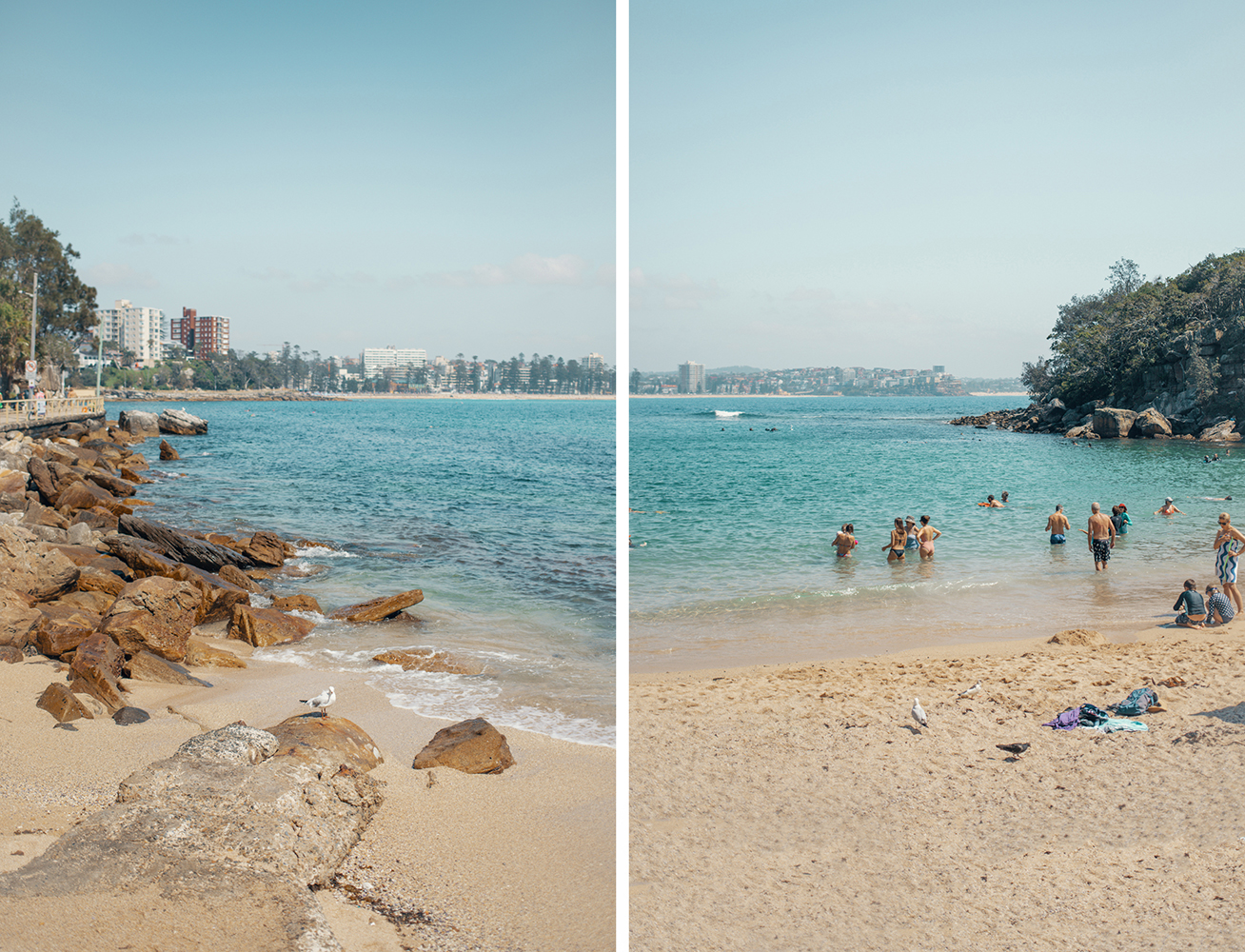 Shelly Beach, Sydney Australia