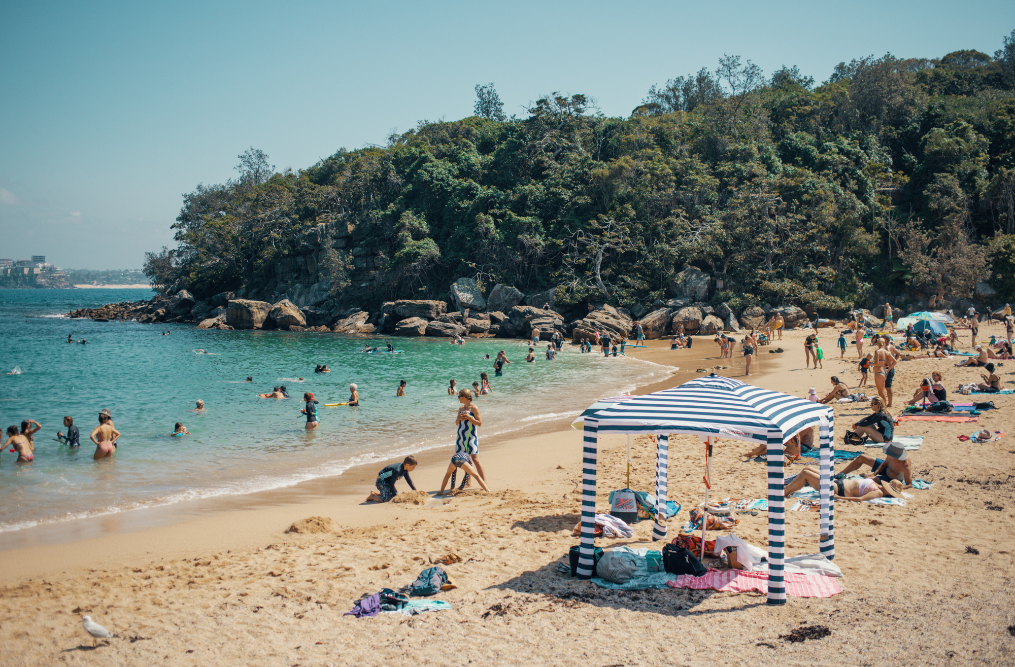 Shelly Beach, Sydney Australia
