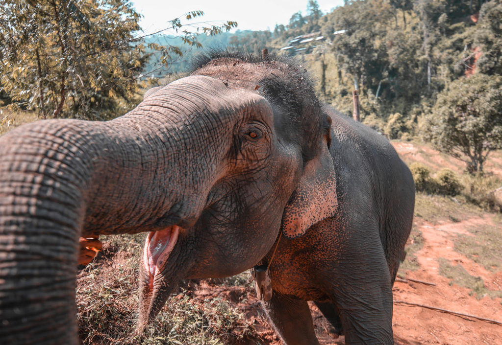Travel & Lifestyle Photography | How Far From Home