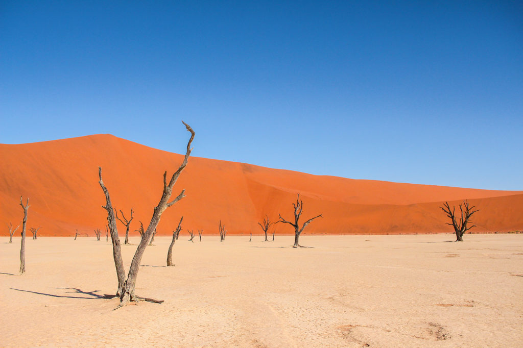 Travel & Lifestyle Photography | How Far From Home