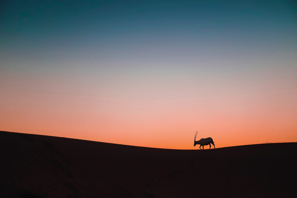 Travel & Lifestyle Photography | How Far From Home