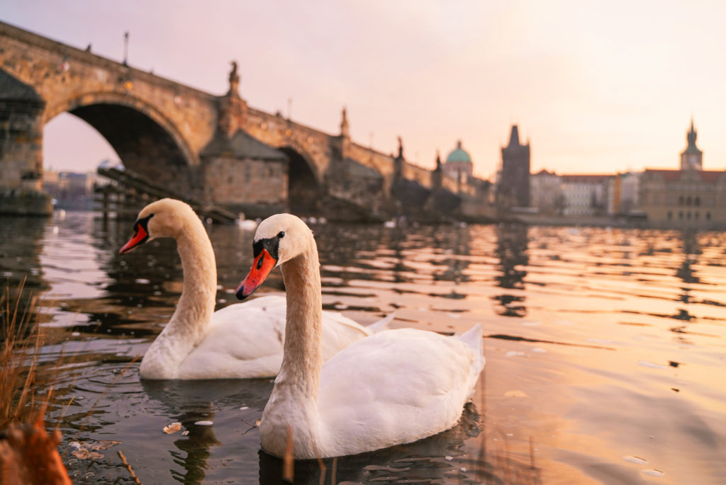 Travel & Lifestyle Photography | How Far From Home