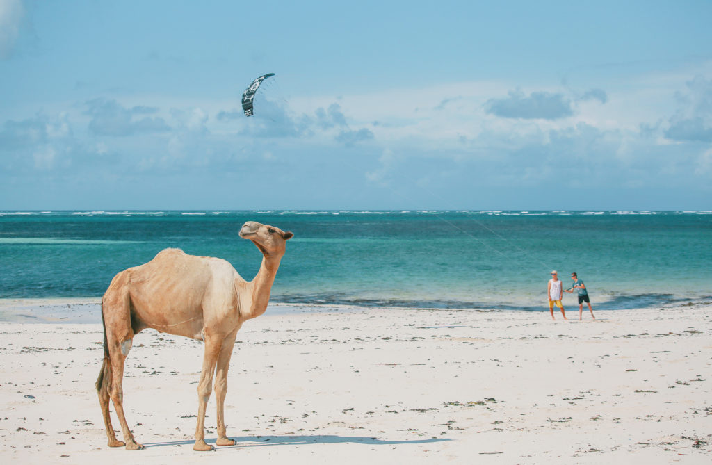 Travel & Lifestyle Photography | How Far From Home