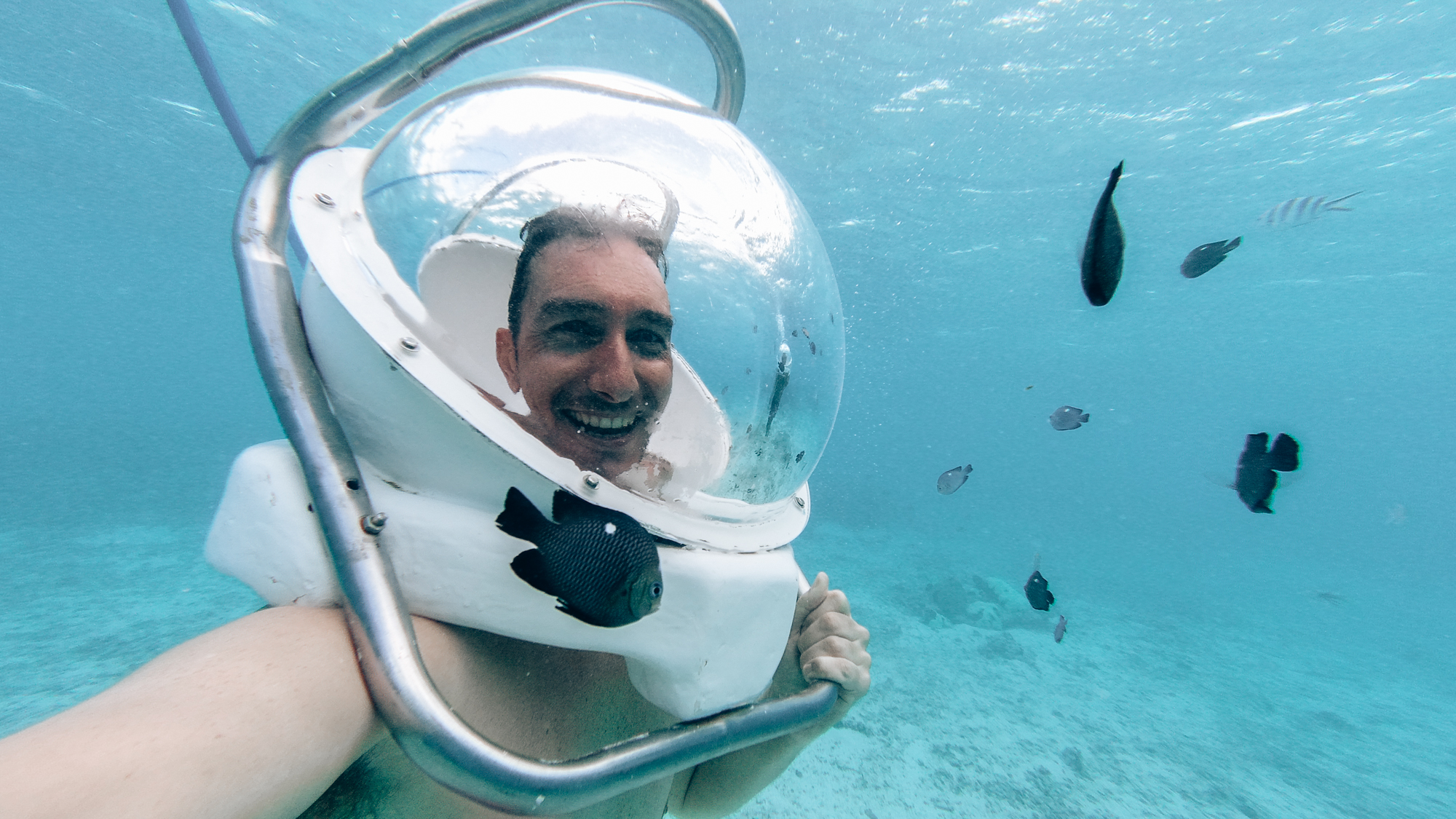 Must-Do in Mauritius | How Far From Home