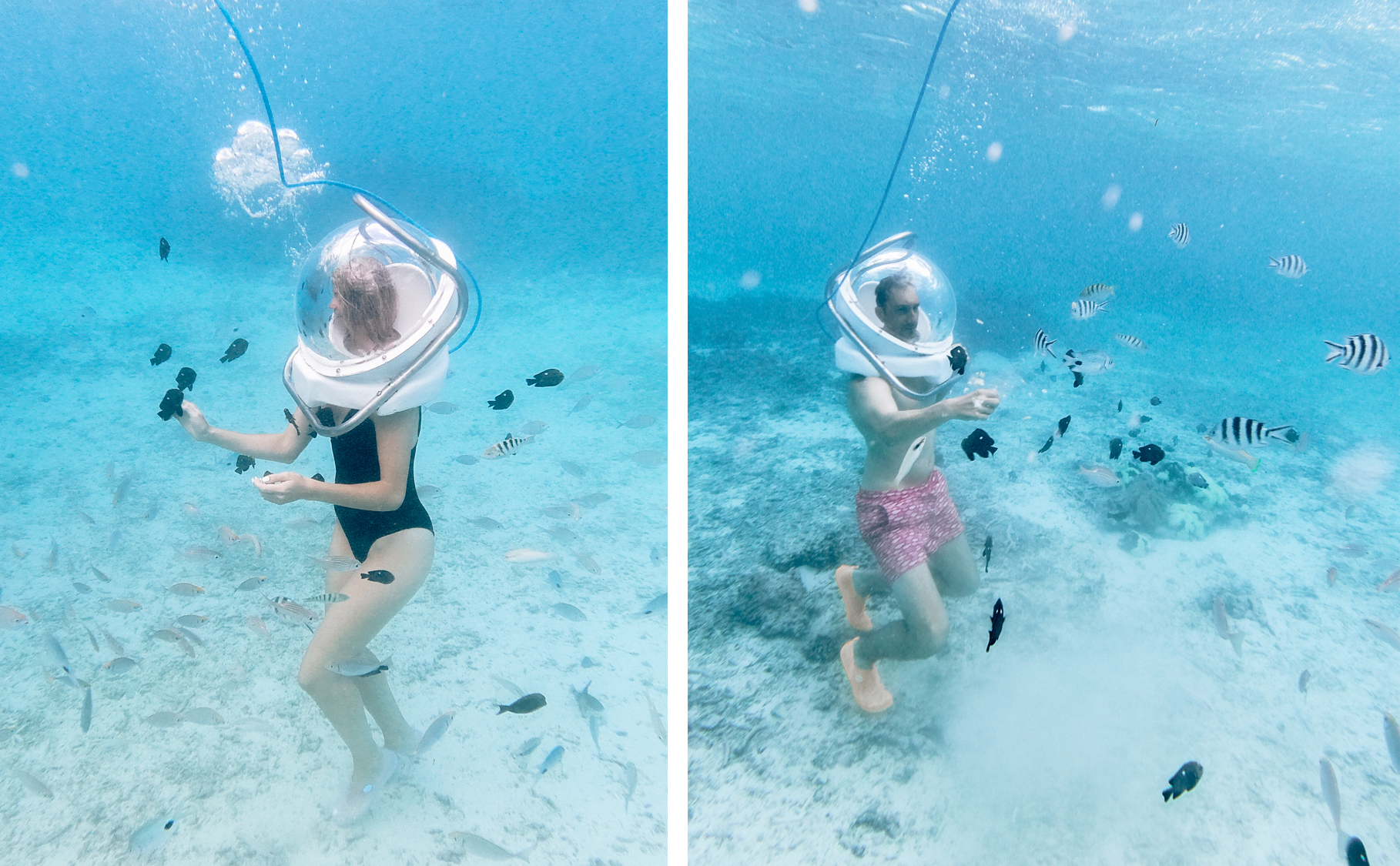 Must-Do in Mauritius | How Far From Home
