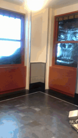 Empire State Building, New York 5 Day Itinerary | How Far From Home