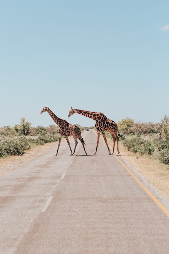 A Multi-Ceremony Adventure Wedding Elopement in Namibia, Southern Africa | How Far From Home