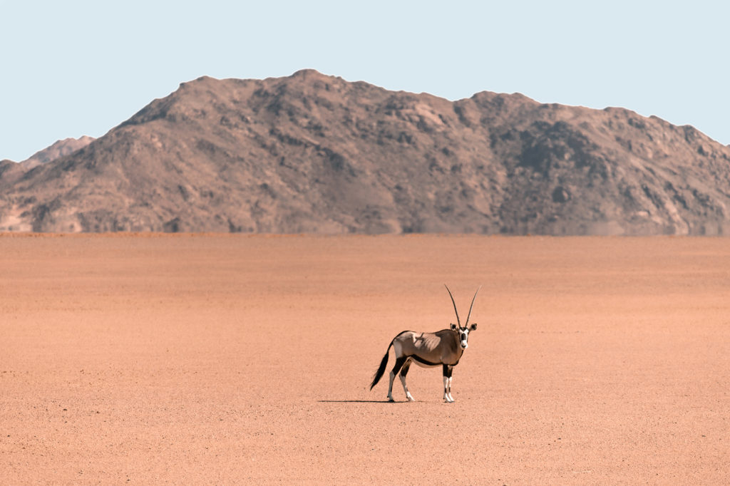 A Multi-Ceremony Adventure Wedding Elopement in Namibia, Southern Africa | How Far From Home