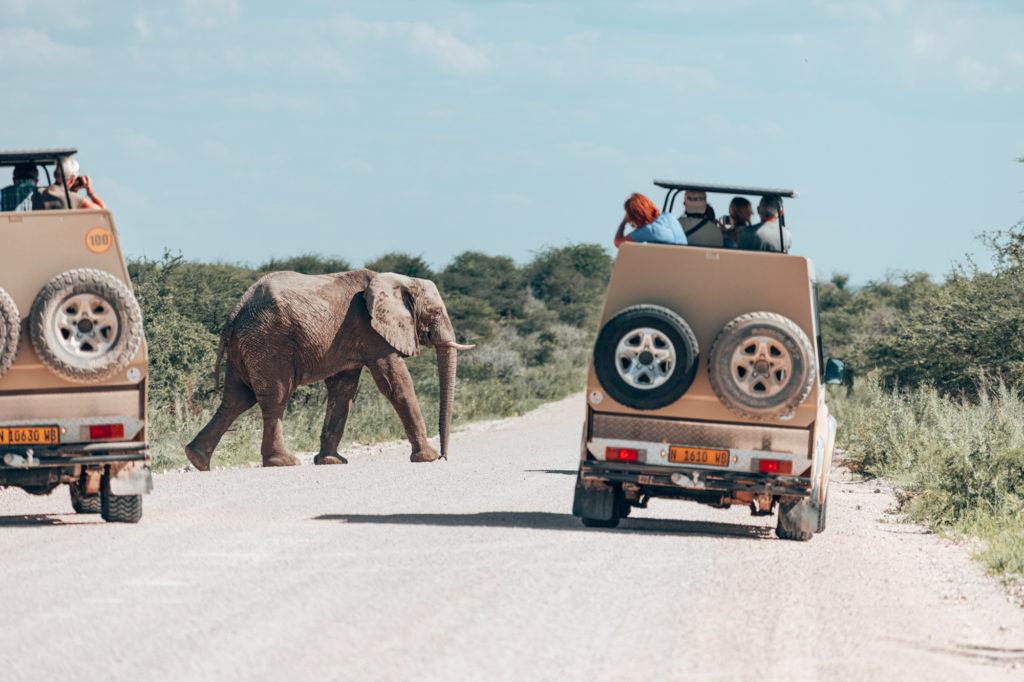 10 Days In Namibia – Everything You Need To Know | How Far From Home