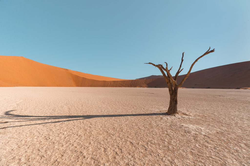 10 Days In Namibia – Everything You Need To Know | How Far From Home