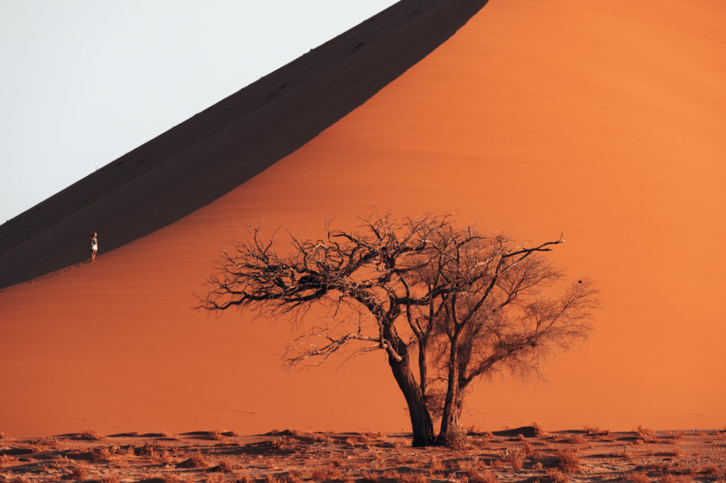 10 Days In Namibia – Everything You Need To Know | How Far From Home