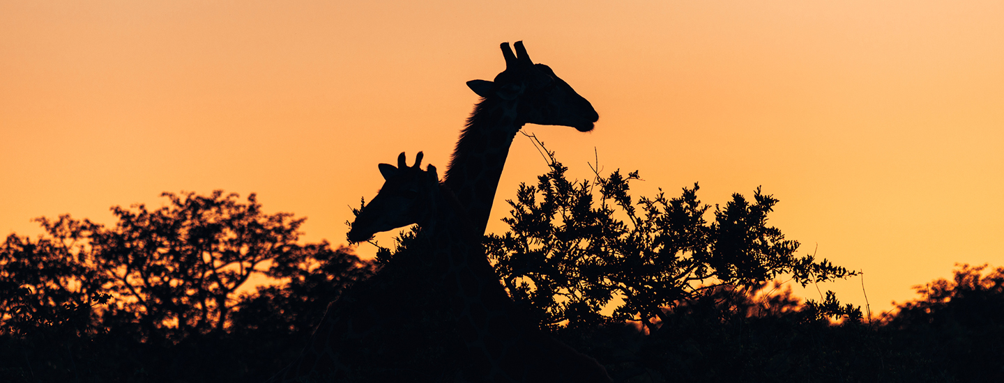 10 Days In Namibia – Everything You Need To Know | How Far From Home
