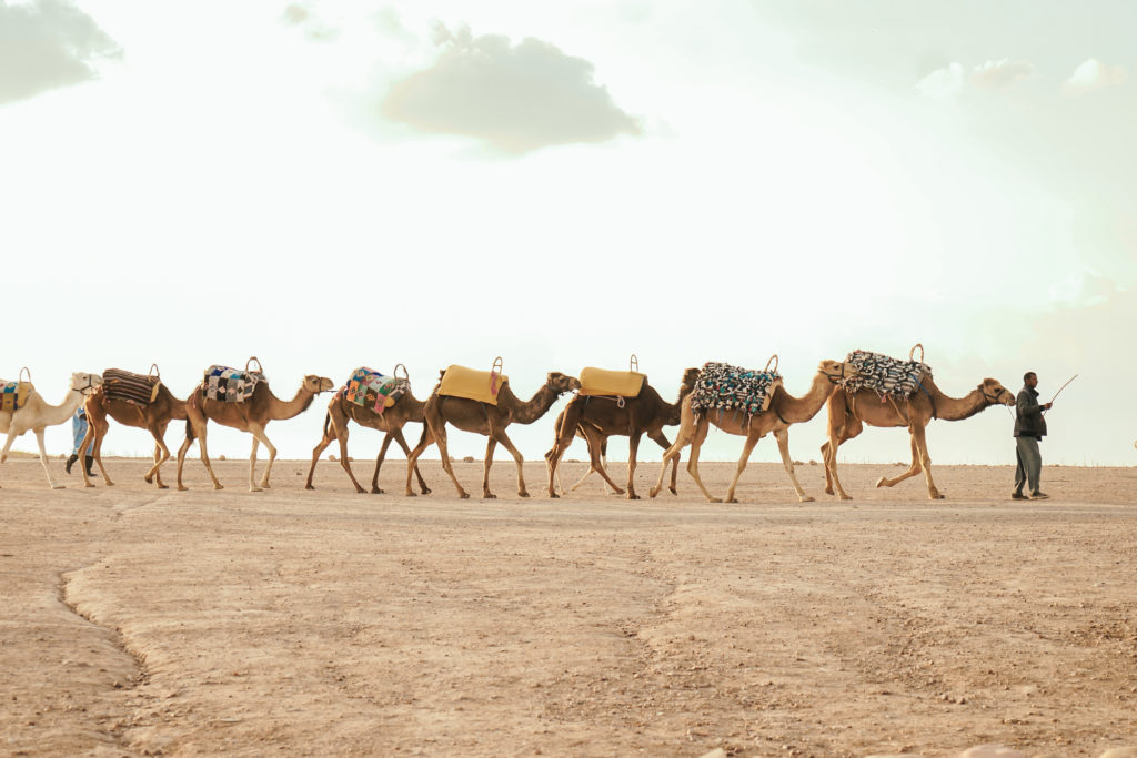 Best Experiences To Have In Morocco | How Far From Home