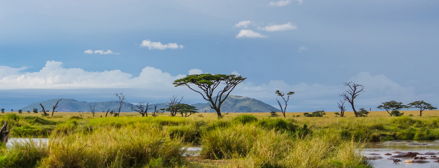 Plan Your First Trip To Africa