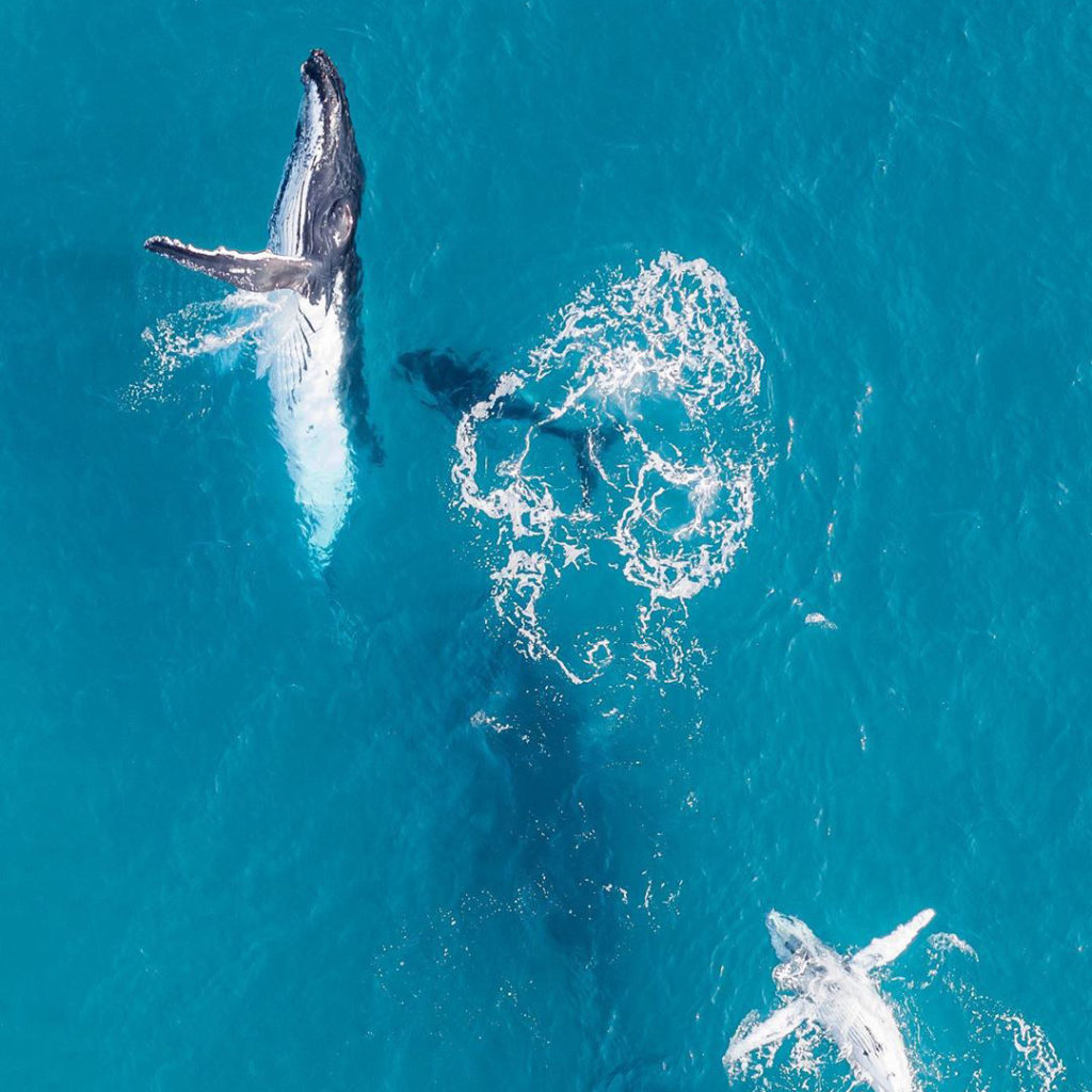 @mkz.imagery Instagram For Western Australia Wanderlust | How Far From Home