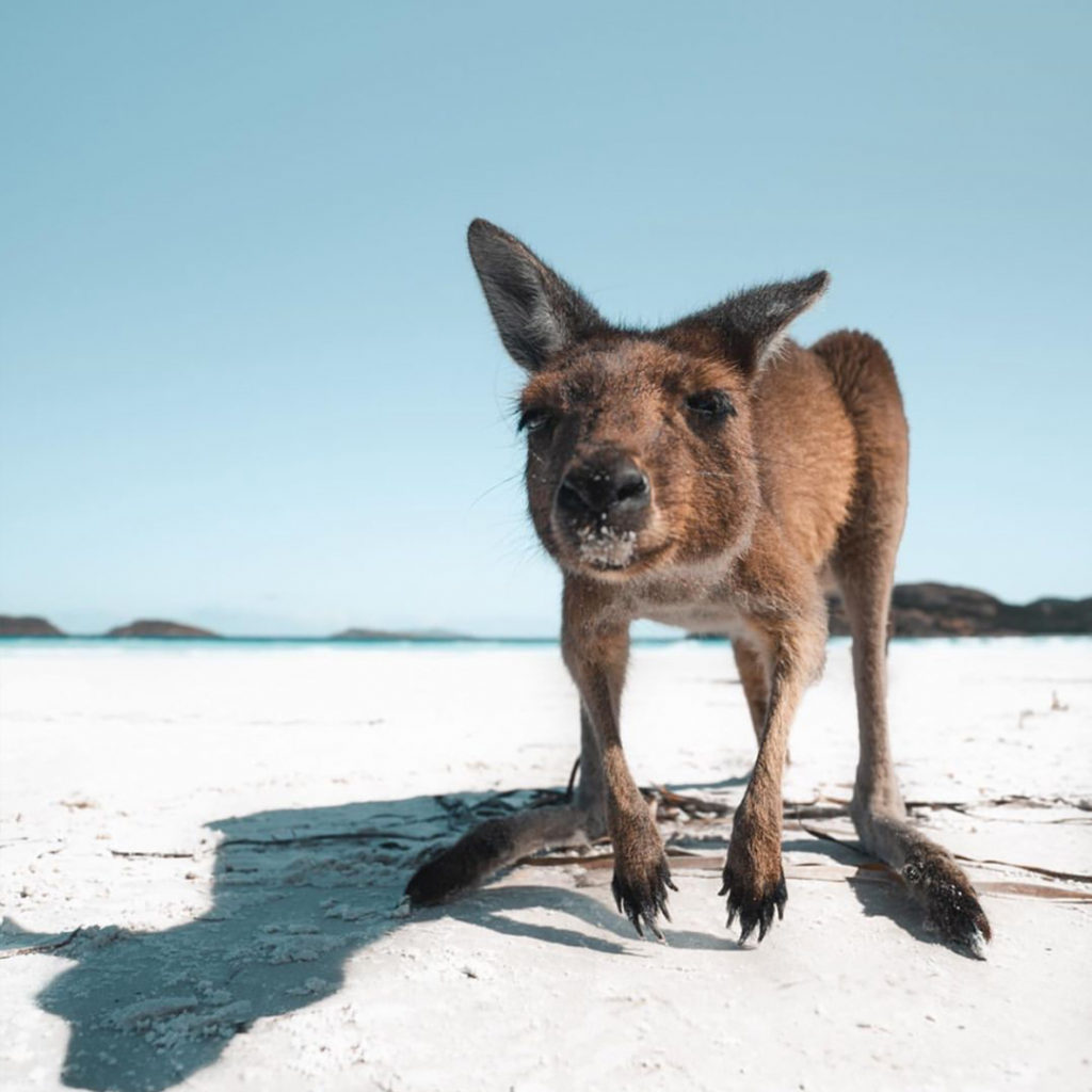@suitcasestories.be Instagram For Western Australia Wanderlust | How Far From Home