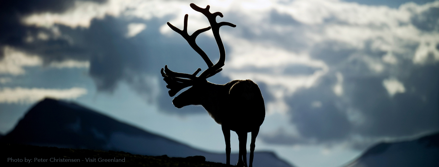 Facts About Greenland | How Far From Home