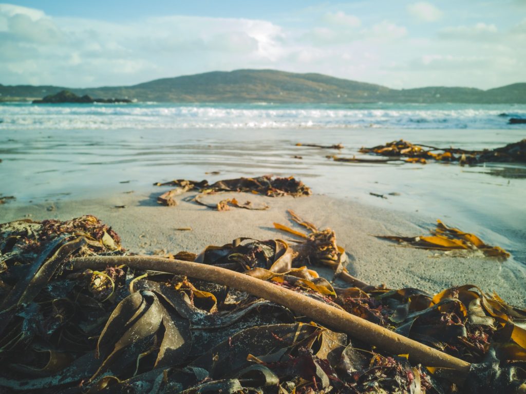 Magical Country Of Ireland | How Far From Home