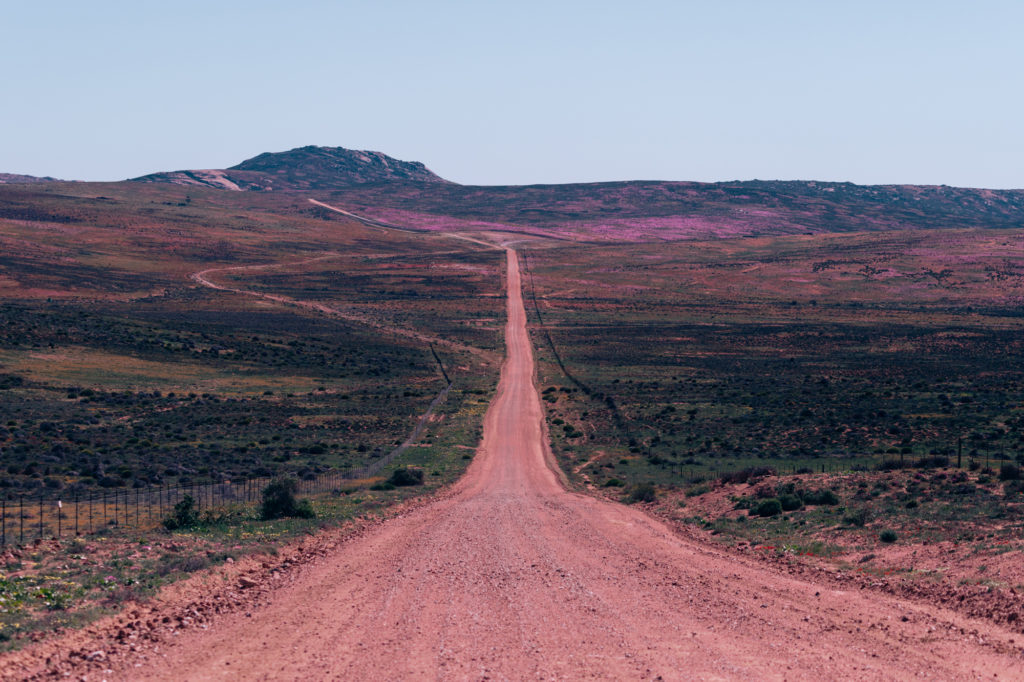 Namaqualand - Guide To Viewing Flowers | How Far From Home