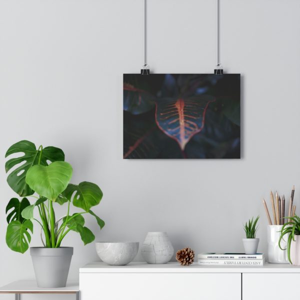 Tropical Textures - Image 5