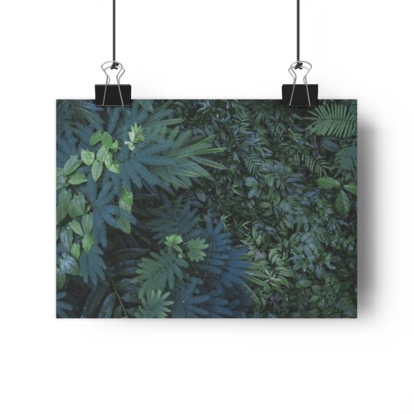 Lush Bali - Image 4