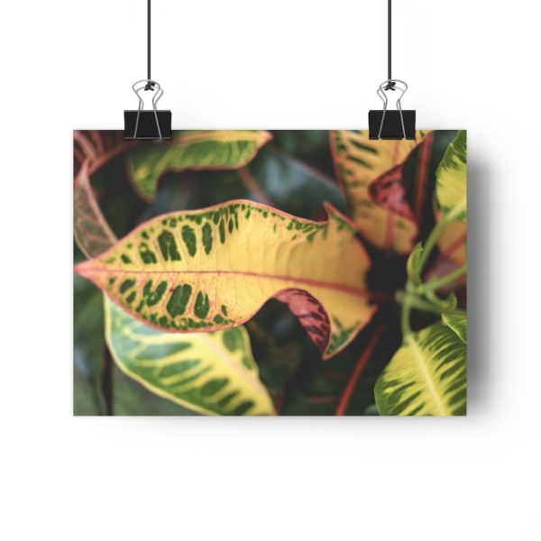 Bali Botanicals - Image 4