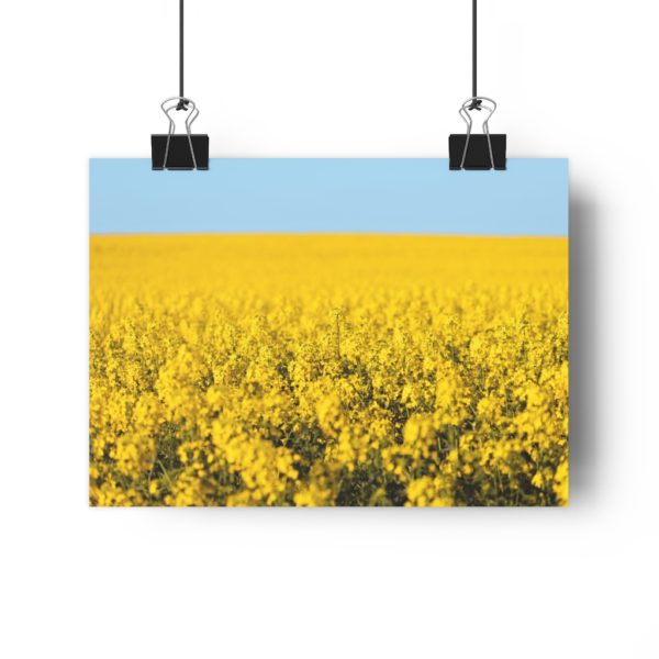 Arniston Fields Of Gold - Image 4