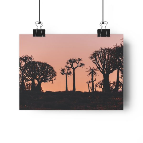 Last Light In The Quiver Tree Forest - Image 4
