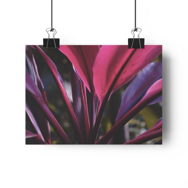 Leaves Of Passion - Image 4
