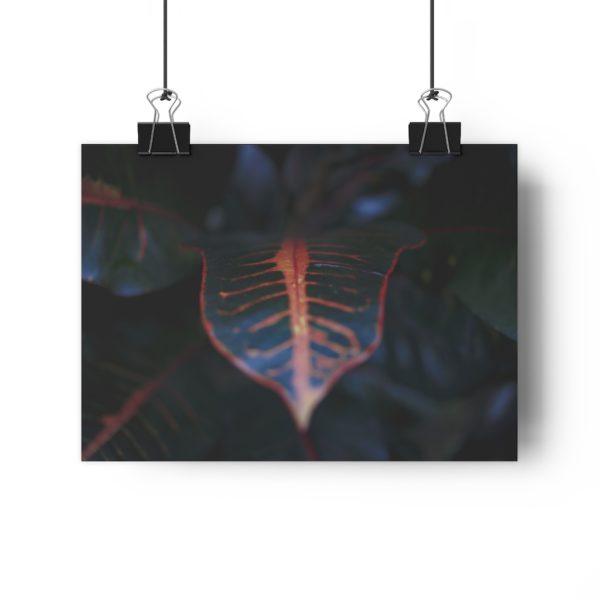 Tropical Textures - Image 4